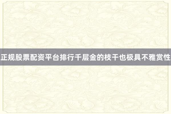 正规股票配资平台排行千层金的枝干也极具不雅赏性