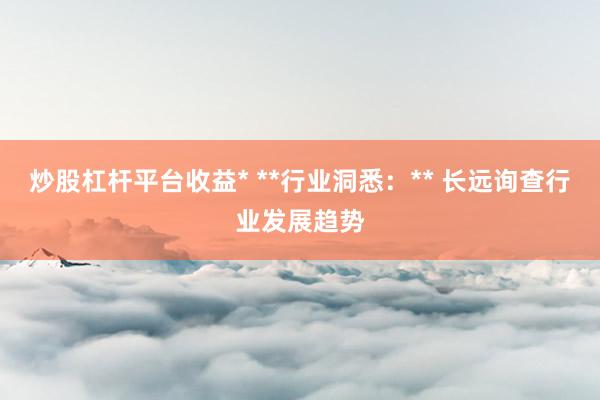 炒股杠杆平台收益* **行业洞悉：** 长远询查行业发展趋势