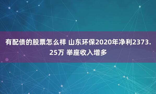 有配债的股票怎么样 山东环保2020年净利2373.25万 举座收入增多