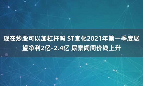 现在炒股可以加杠杆吗 ST宜化2021年第一季度展望净利2亿-2.4亿 尿素阛阓价钱上升