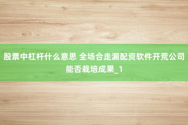 股票中杠杆什么意思 全场合走漏配资软件开荒公司能否栽培成果_1